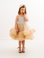 Load image into Gallery viewer, Pétillante dress
